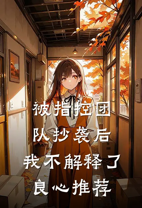 被指控团队抄袭后，我不解释了良心推荐
