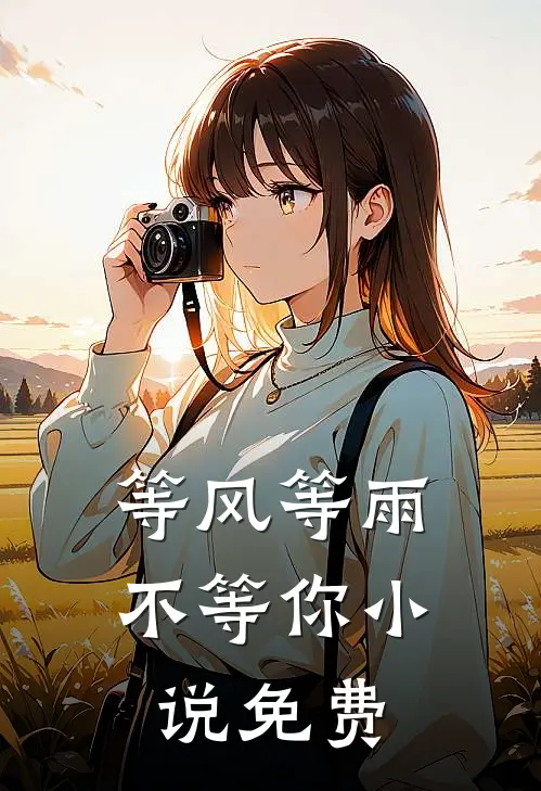 等风等雨不等你小说免费