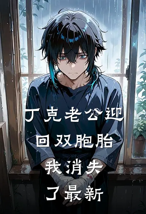丁克老公迎回双胞胎，我消失了最新