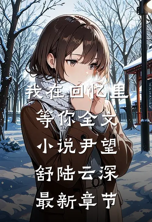 我在回忆里等你全文小说尹望舒陆云深最新章节