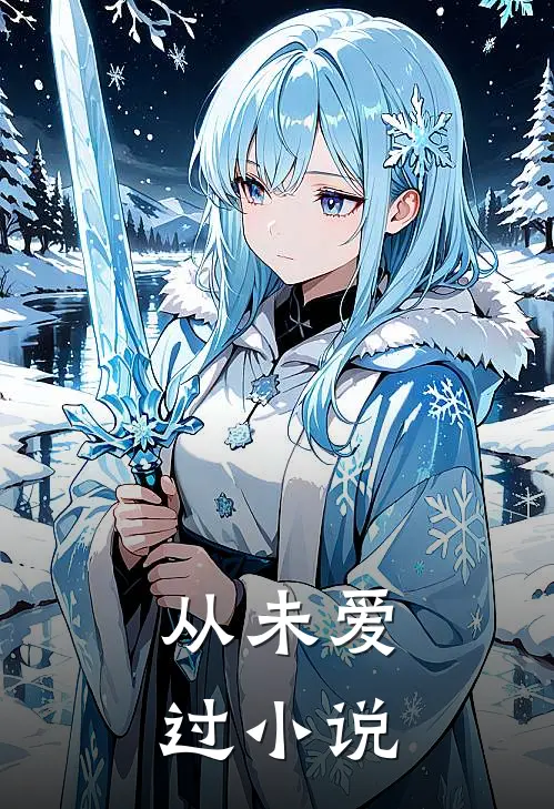 从未爱过小说