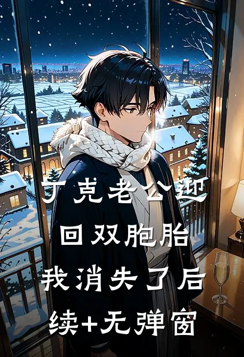 丁克老公迎回双胞胎，我消失了后续+无弹窗