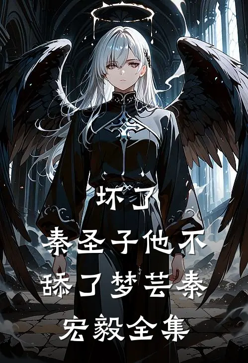 坏了，秦圣子他不舔了梦芸秦宏毅 全集