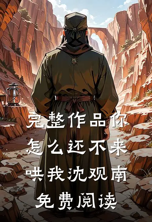 完整作品你怎么还不来哄我沈观南免费阅读