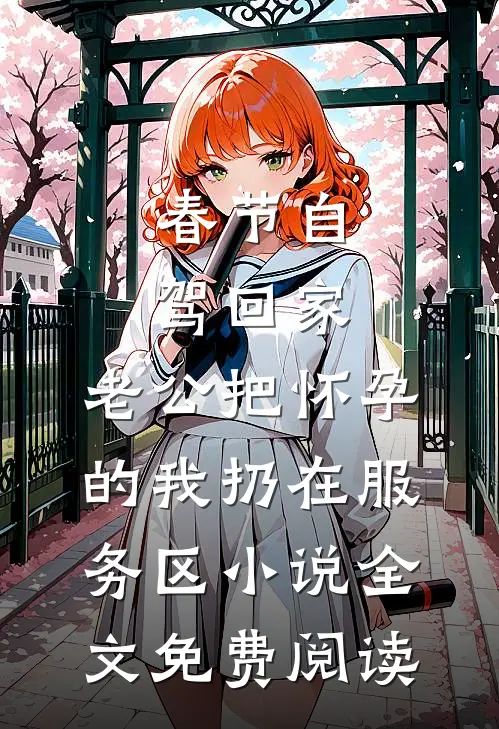 春节自驾回家，老公把怀孕的我扔在服务区小说全文免费阅读