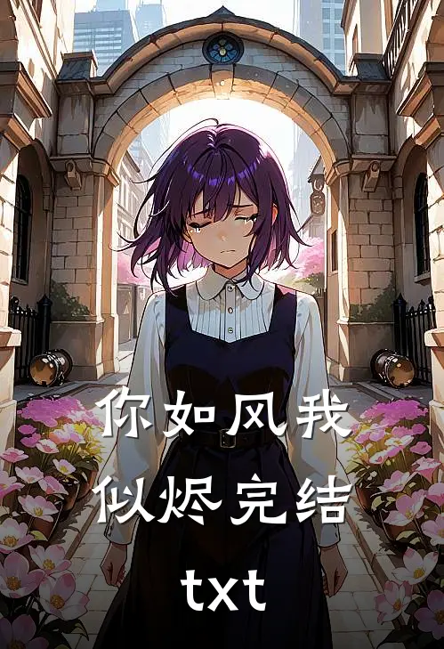 你如风我似烬完结txt