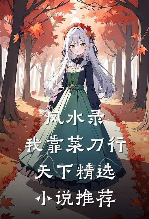 风水录：我靠菜刀行天下精选小说推荐