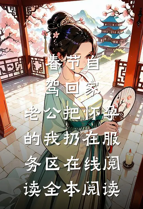 春节自驾回家，老公把怀孕的我扔在服务区在线阅读全本阅读