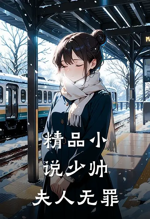 精品小说少帅，夫人无罪