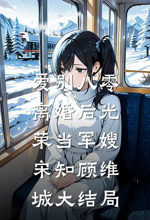 爱别八零：离婚后光荣当军嫂宋知顾维城大结局