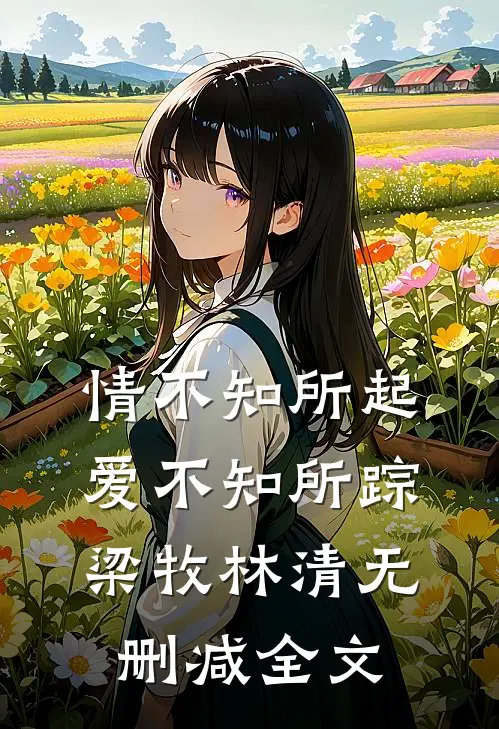 情不知所起，爱不知所踪梁牧林清无删减全文