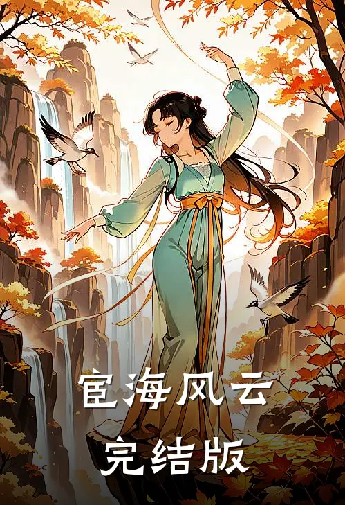 宦海风云完结版