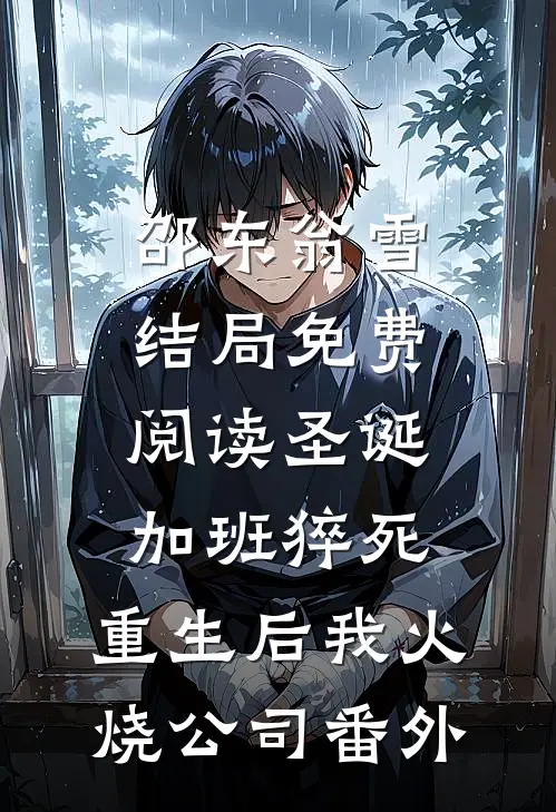 邵东翁雪结局免费阅读圣诞加班猝死，重生后我火烧公司番外