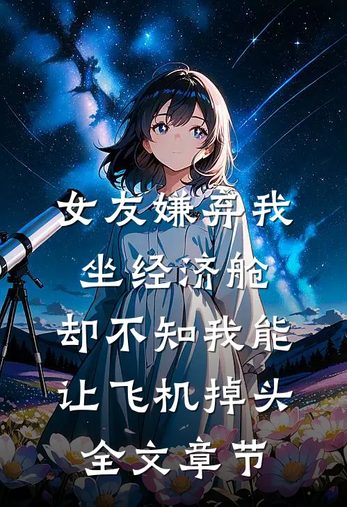 女友嫌弃我坐经济舱，却不知我能让飞机掉头全文章节