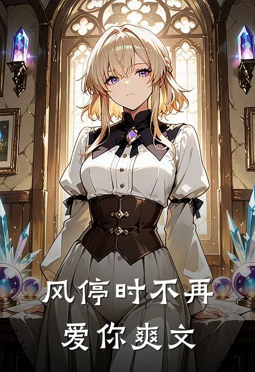 风停时不再爱你爽文