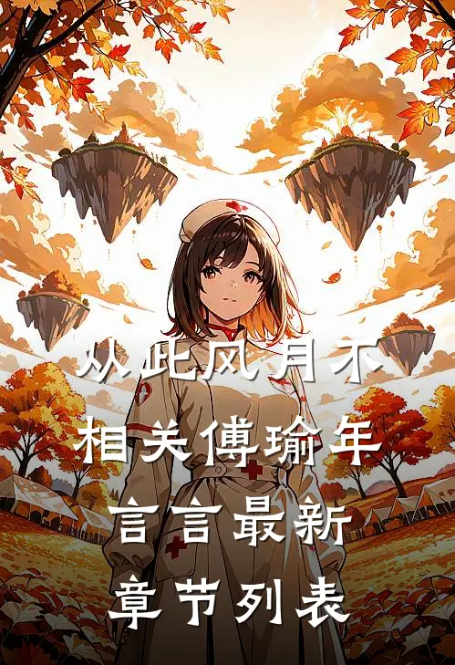 从此风月不相关傅瑜年言言最新章节列表