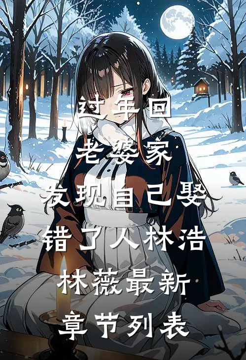 过年回老婆家，发现自己娶错了人林浩林薇最新章节列表