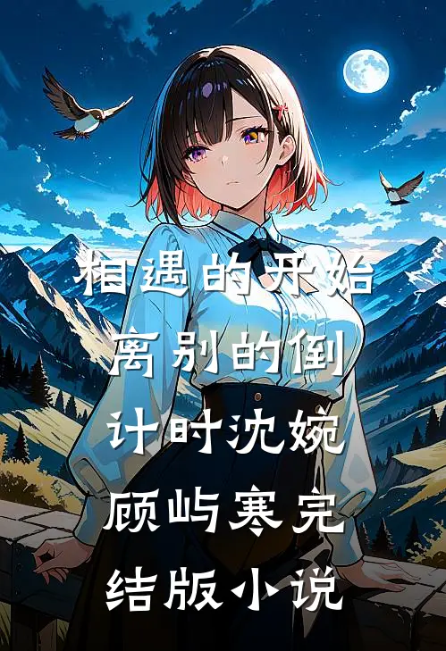 相遇的开始，离别的倒计时沈婉顾屿寒完结版小说