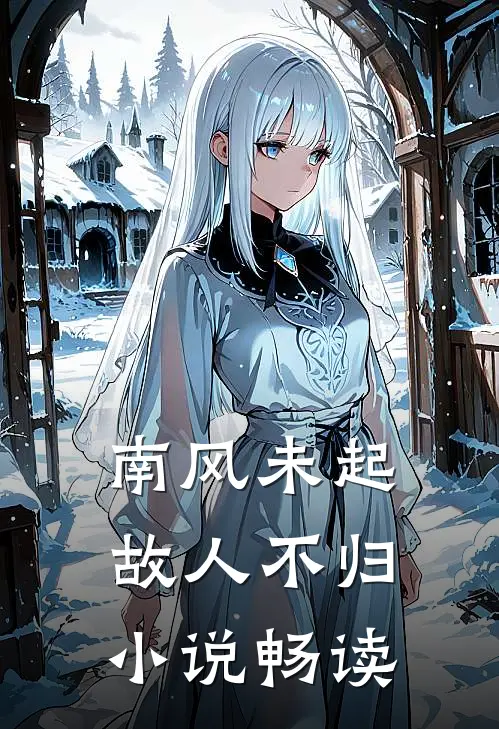 南风未起，故人不归小说畅读