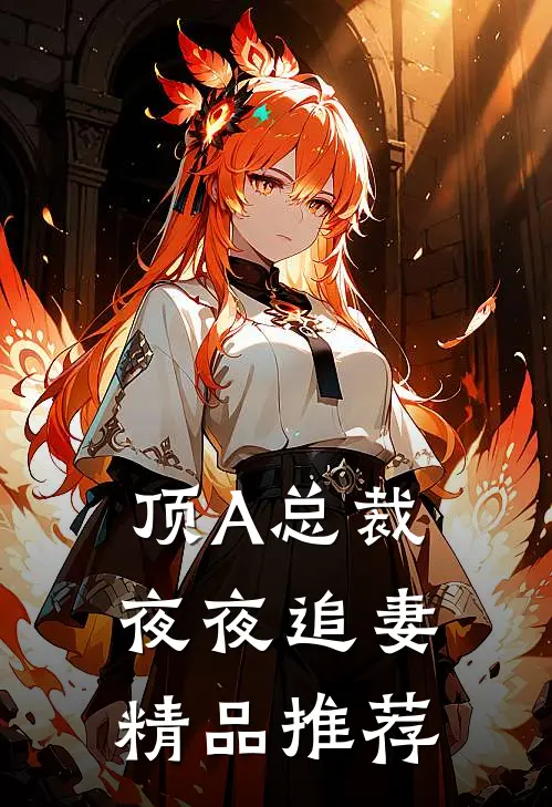 顶A总裁夜夜追妻精品推荐