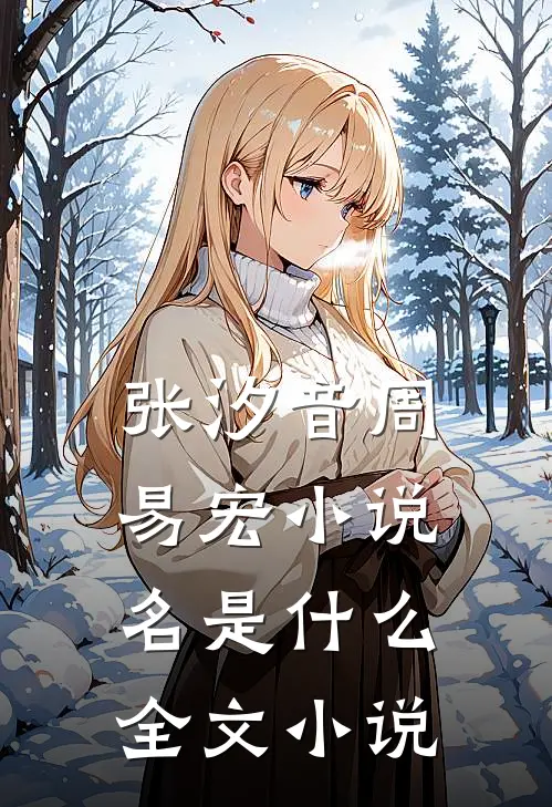张汐音周易宏小说名是什么全文小说