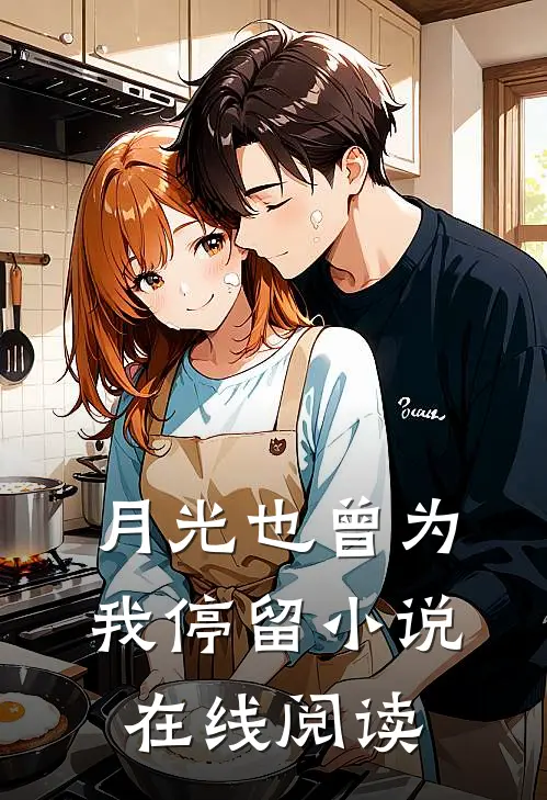 月光也曾为我停留小说在线阅读