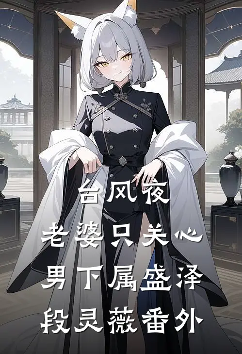 台风夜，老婆只关心男下属盛泽段灵薇 番外