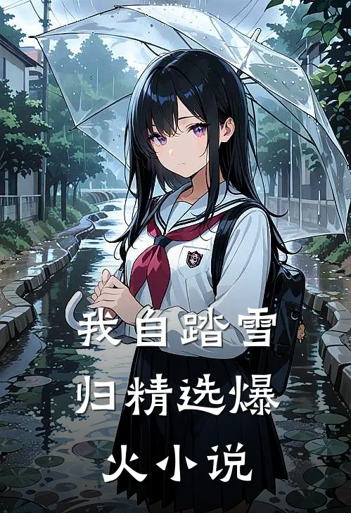 我自踏雪归精选爆火小说