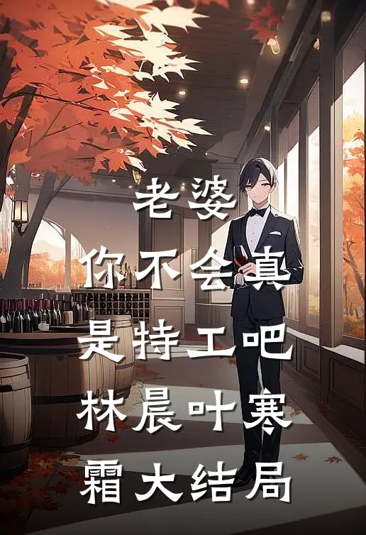 老婆，你不会真是特工吧林晨叶寒霜大结局