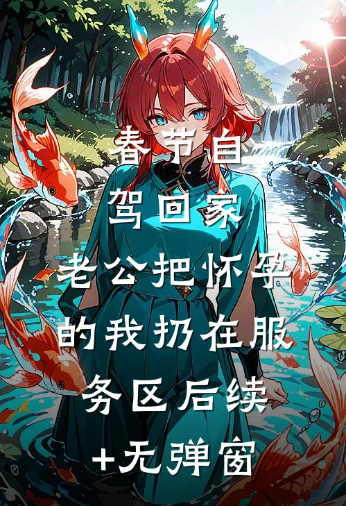春节自驾回家，老公把怀孕的我扔在服务区后续+无弹窗