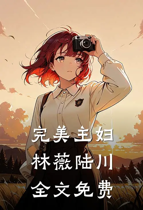 完美主妇林薇陆川全文免费
