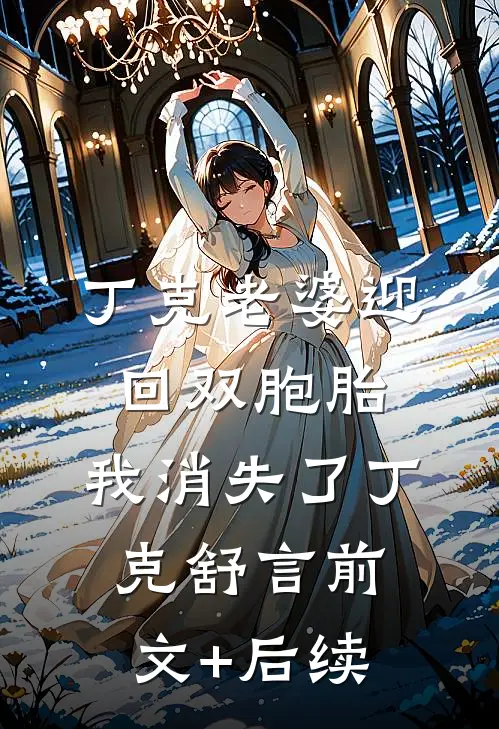 丁克老婆迎回双胞胎，我消失了丁克舒言前文+后续