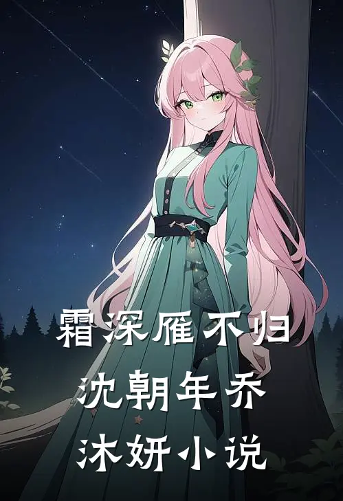 霜深雁不归沈朝年乔沐妍小说