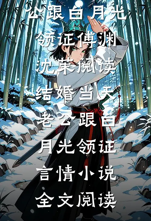 结婚当天老公跟白月光领证傅渊沈茉阅读_结婚当天老公跟白月光领证言情小说全文阅读