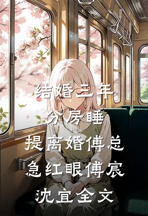 结婚三年分房睡，提离婚傅总急红眼傅宸沈宜全文
