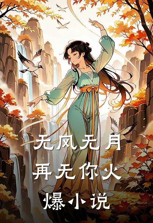 无风无月再无你火爆小说
