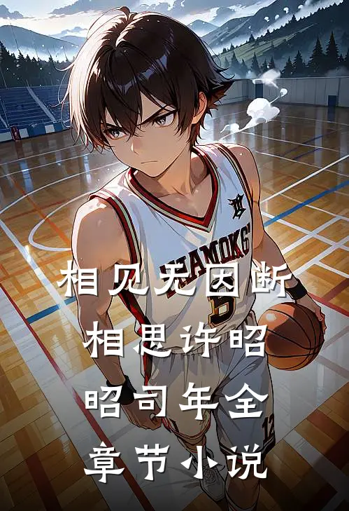 相见无因断相思许昭昭司年全章节小说