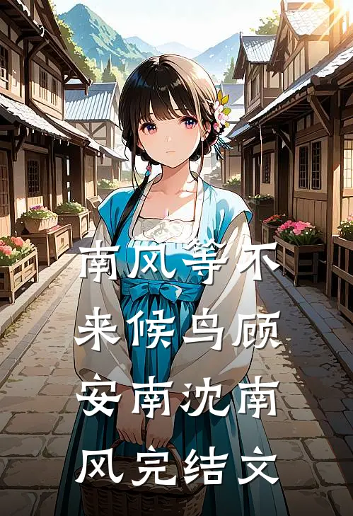 南风等不来候鸟顾安南沈南风完结文