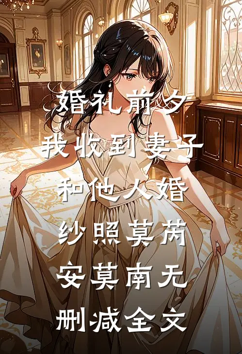 婚礼前夕，我收到妻子和他人婚纱照莫芮安莫南无删减全文