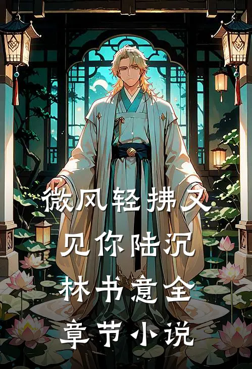 微风轻拂又见你陆沉林书意全章节小说