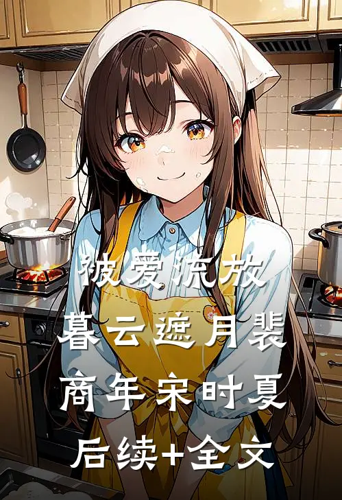 被爱流放，暮云遮月裴商年宋时夏后续+全文