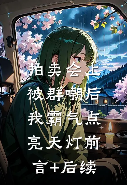拍卖会上被群嘲后，我霸气点亮天灯前言+后续