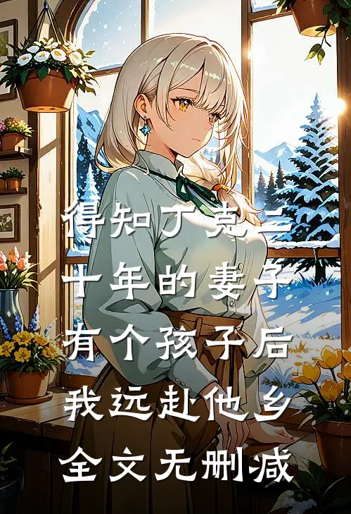 得知丁克二十年的妻子有个孩子后，我远赴他乡全文无删减