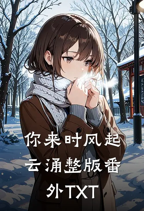 你来时风起云涌整版番外TXT
