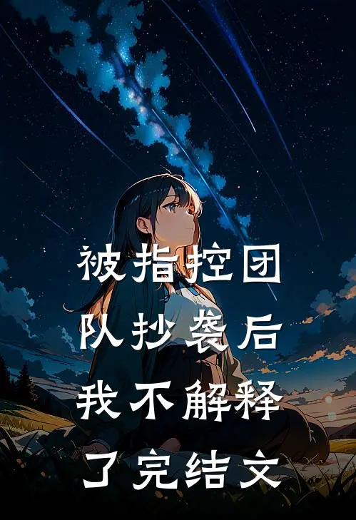 被指控团队抄袭后，我不解释了完结文