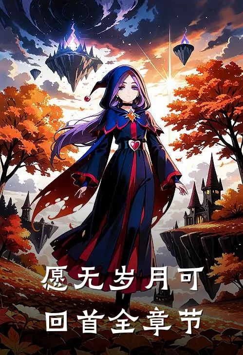 愿无岁月可回首全章节