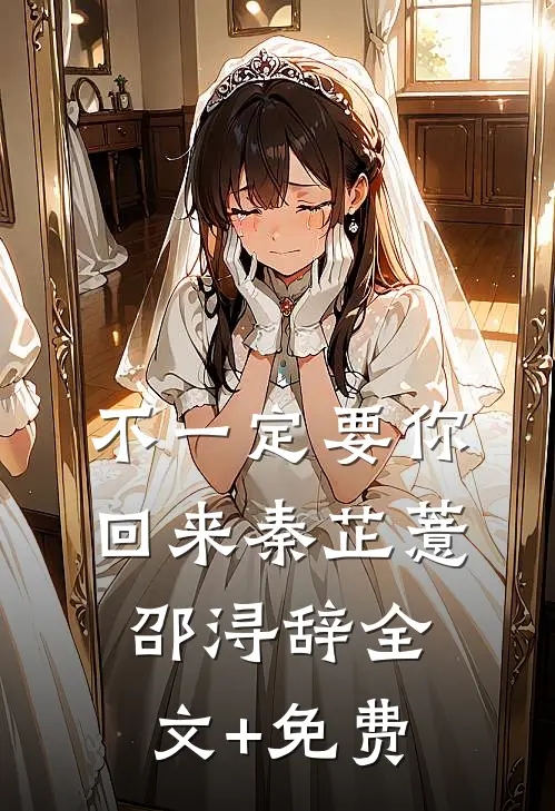 不一定要你回来秦芷薏邵浔辞全文+免费