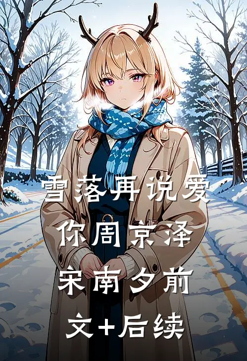 雪落再说爱你周京泽宋南夕前文+后续