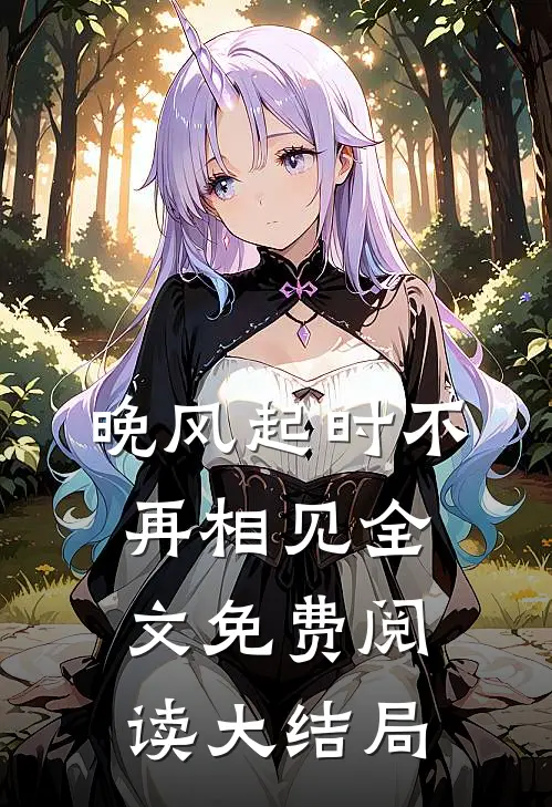 晚风起时不再相见全文免费阅读大结局