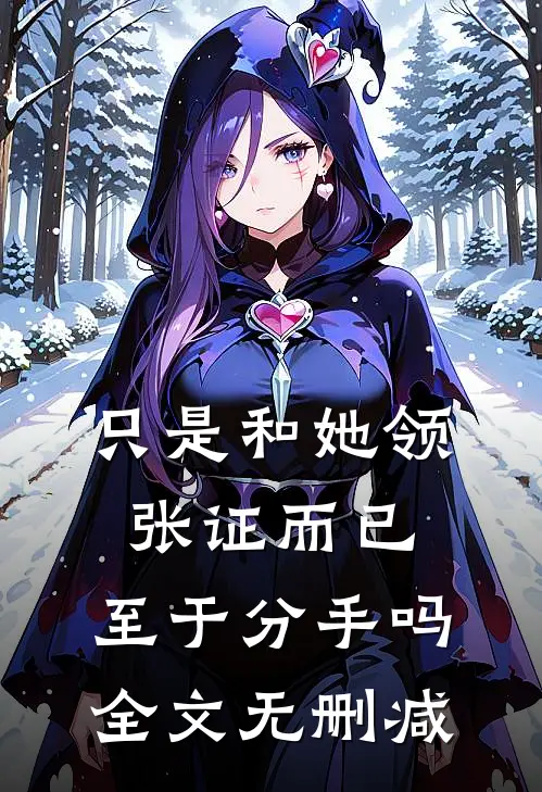 只是和她领张证而已，至于分手吗全文无删减